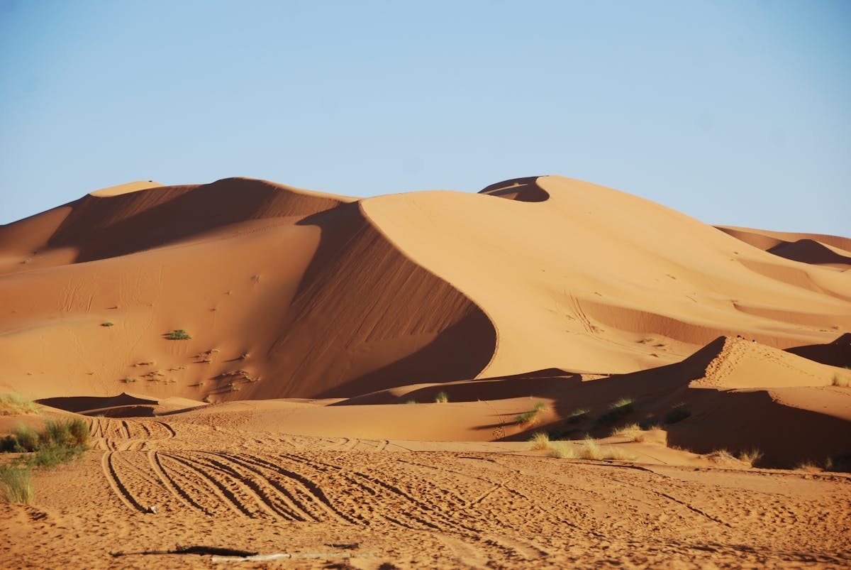 فم الواد