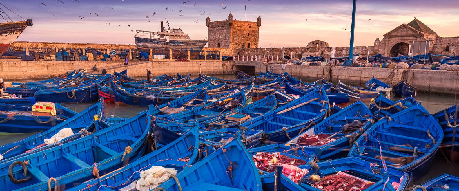 Tarfaya Atlantic